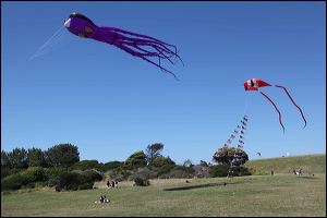 img_0200