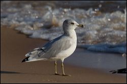 39_20110824_rgs_2754