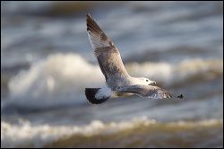 40_20110824_rgs_2741