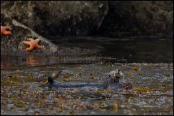 05_20111001_rgs_3805