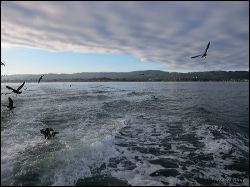 07_20111001_jrs_1130