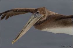 09_20111001_rgs_3829