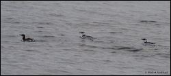 12_20111001_rgs_3820