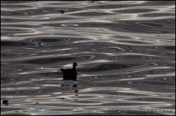 13_20111001_rgs_3821
