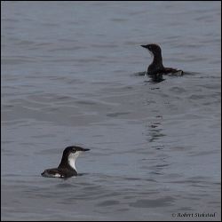 16_20111001_rgs_3888