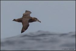 19_20111001_rgs_3912