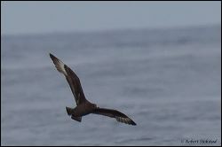 20_20111001_rgs_3905