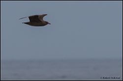 21_20111001_rgs_3919