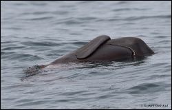 25_20111001_rgs_3941