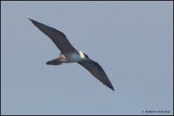 28_20111001_rgs_3954