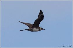 29_20111001_rgs_3945