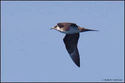 32_20111001_rgs_3991