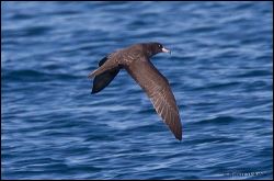 33_20111001_rgs_3984