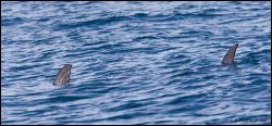 34_20111001_rgs_3990