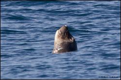 35_20111001_rgs_4016