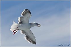 36_20111001_rgs_4022