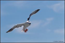 38_20111001_rgs_4041