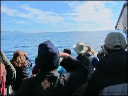 41_20111001_jrs_1152