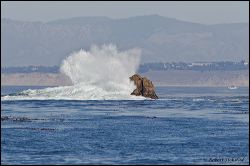 44_20111001_rgs_4094