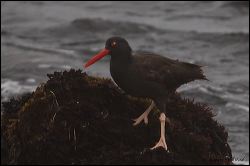 48_20111002_rgs_4133