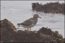 50_20111002_rgs_4140