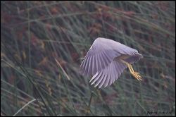 58_20111002_rgs_4193