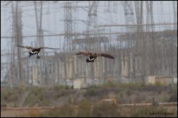 60_20111002_rgs_4202
