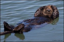 67_20111002_rgs_4316