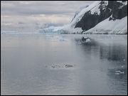img_1612