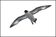 img_2656a