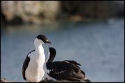 img_3467
