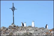 img_3678