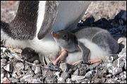 img_3900
