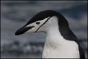 img_4299