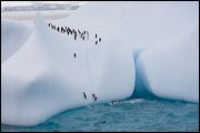 img_4397
