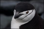 img_4466