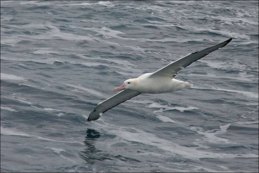 oe9p5166a.jpg