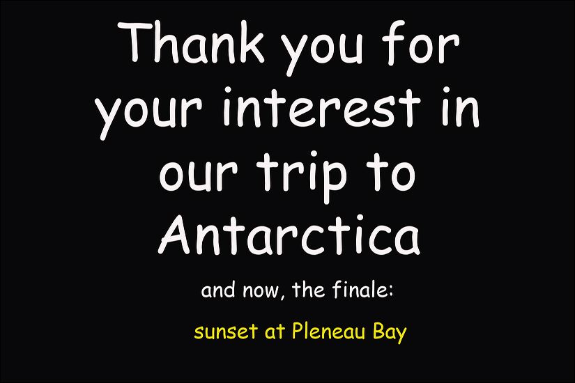 thank_you.jpg