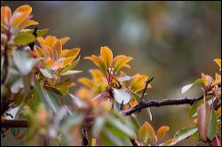 111-20190514_rgs_8000