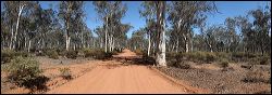 00_dryandra_pano_2
