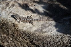 img_0271a
