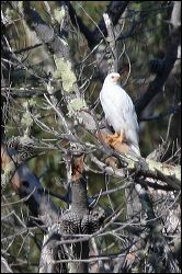img_0289a