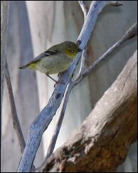 img_0297a