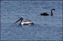 img_0313a
