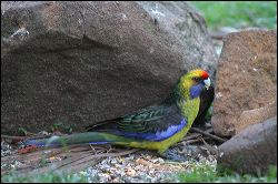 img_0392a