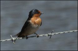 img_0409a