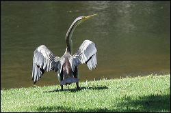 img_0478
