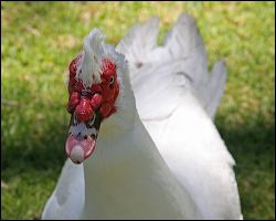 img_0568a