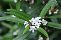 img_6737a