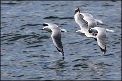 img_6772a